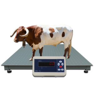 Weight floor weighing scales for industries