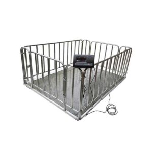 Sheep Weighing Scale, Digital Livestock Weight System