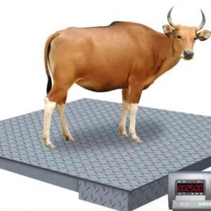 Electronic Cattle Weighing Scale