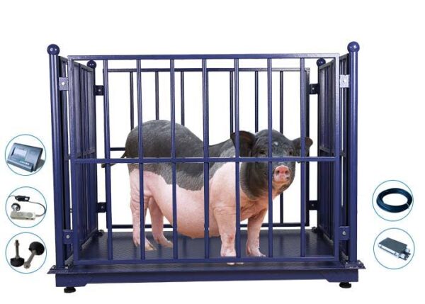 Electronic Pig Weighing Scale