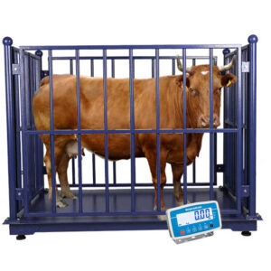 Heavy-Duty Livestock Weight Platform, Farm Animal Scale