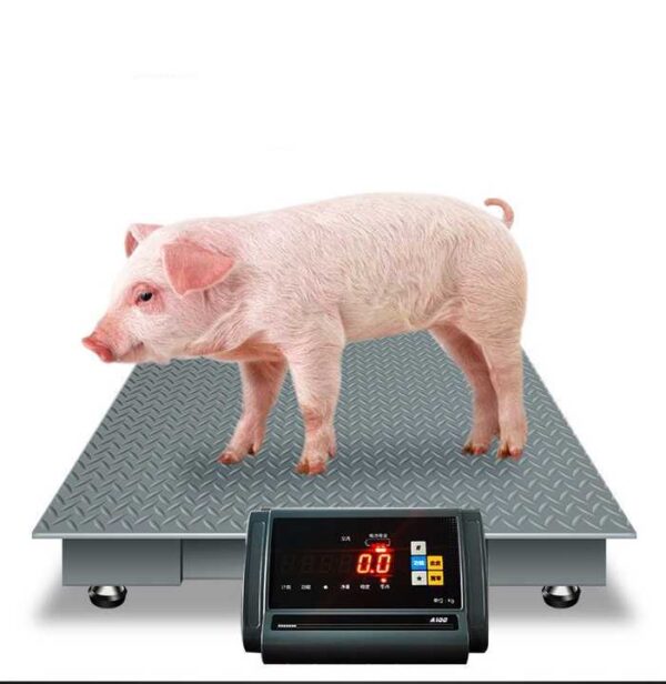 Portable Livestock Weight System, Farm Animal Measurement Device