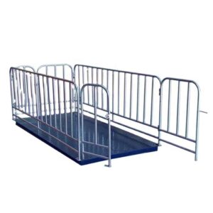 Weighing Platform Farm Animal Scale