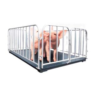 Pig Weight Measurement Scale