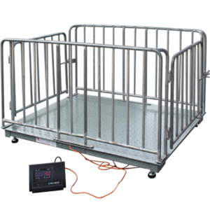 Electronic Sheep Weighing Scale