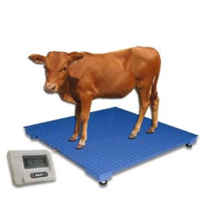 Cattle Weight Measurement Floor Scale