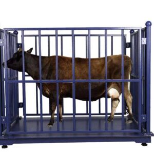 Electronic Cattle Animal Weighing Scale