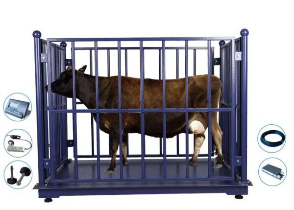 Electronic Cattle Animal Weighing Scale
