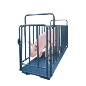 Animal Weighing Digital Platform with Indicator, Heavy-Duty Livestock Scale