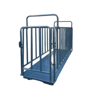 Cattle Animal Digital Weighing Scale, Farm Livestock Platform