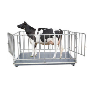 Digital Platform Scale for Livestock, Goat & Cow Weight Equipment