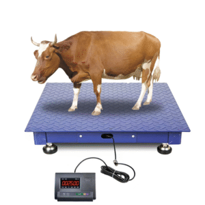 Digital Display Livestock Weighing Scale