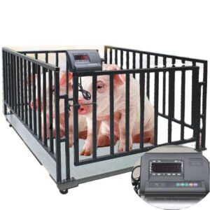 Digital Pig Weighing Scale