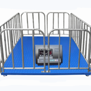 Cattle Weight Measurement Scale