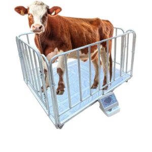 Electronic Cattle Weighing Scale with Digital Display, Heavy-Duty Livestock Weight Platform