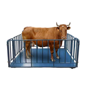 Livestock Weighing Scale for Goats and Cattle, Digital Animal Platform