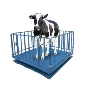Farm Digital Livestock Scale, Heavy-Duty Platform for Cattle & Goats