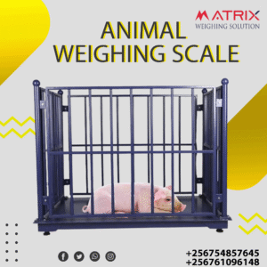 Livestock weighing scales price in Uganda