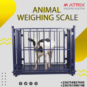 Digital animal weighing scales company in Uganda