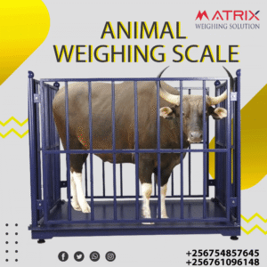 Cattle weighing scales price in Uganda