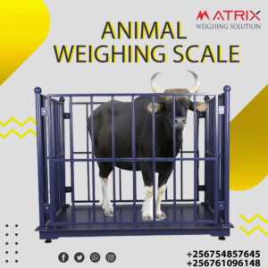 Animal weighing machine price in Uganda