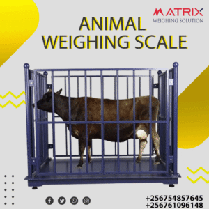 Veterinary weighing scales company in Uganda Veterinary weighing scales company in Uganda