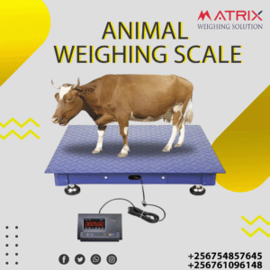 Veterinary weighing scales in Uganda