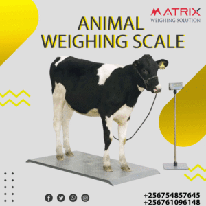 Pig weighing scales company in Uganda