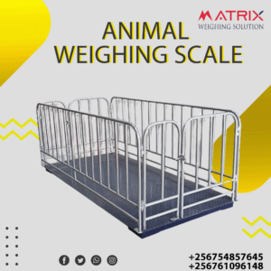 Pig weighing scales price in Uganda +256 761096148