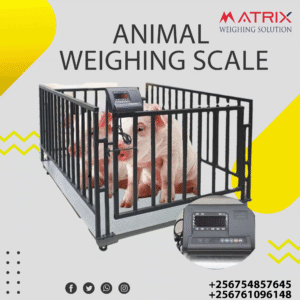 Weighing scales for animals’ company in Uganda
