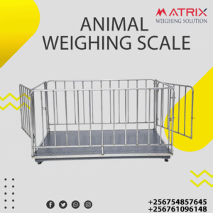 Sheep weighing scales price in Uganda