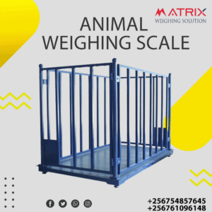 Veterinary weighing scales price in Uganda