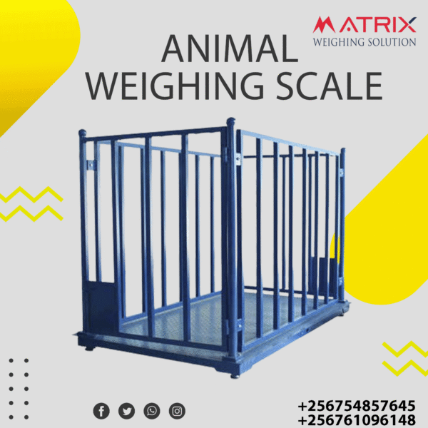 Veterinary weighing scales price in Uganda