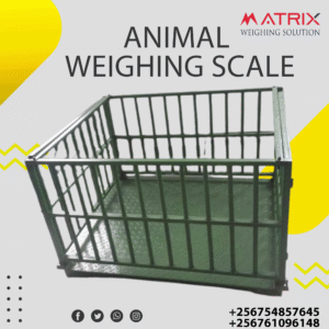 Livestock weighing scales company in Uganda
