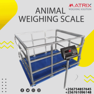 Electronic animal weighing scales company in Uganda +256 754857645