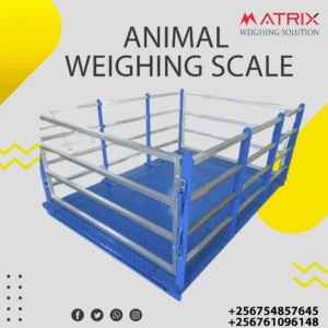Electronic animal weighing scales price in Uganda