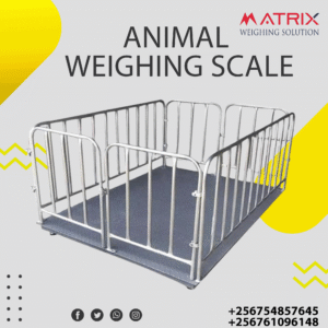 Portable animal weighing scales company in Uganda