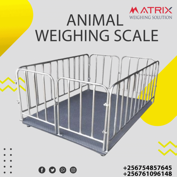 Portable animal weighing scales company in Uganda
