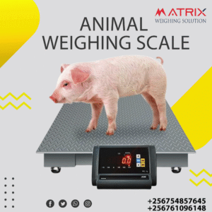 Weighing scales for animals’ price in Uganda +256 761096148