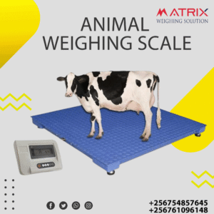 Electronic animal weighing scales company in Uganda
