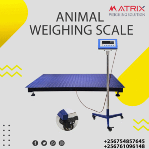 Weighing scales for animals’ price in Uganda