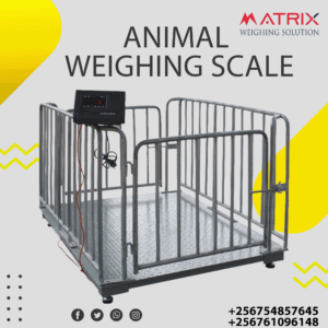 Farm animal weighing scales price in Uganda +256 761096148