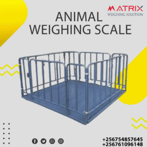 Sheep weighing scales company in Uganda